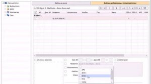 Отображение треков в Yatour