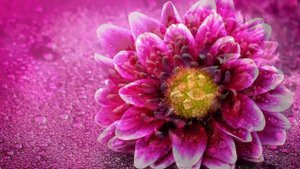 Просто Божественная, Непревзойденная музыка! Хочется слушать До Бесконечности! Сергей Чекалин#1