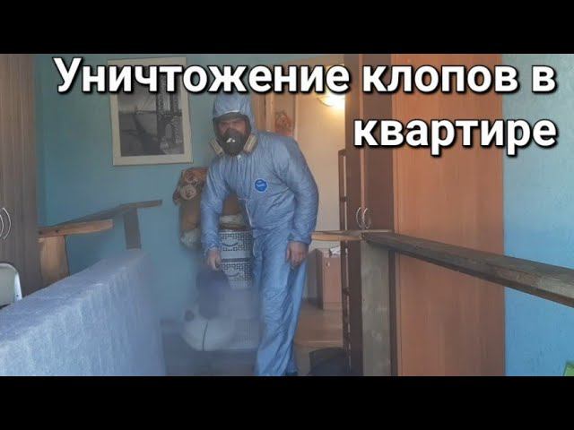 Уничтожение клопов в квартире холодным туманом #клопывквартире