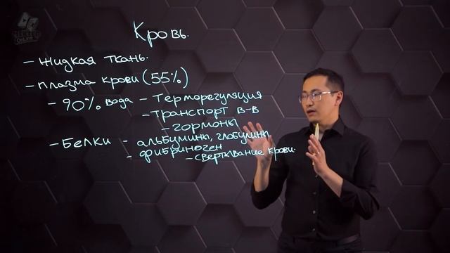 Состав и функции крови. 8 класс. смотреть онлайн