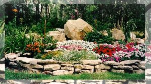 Красивые клумбы из камней