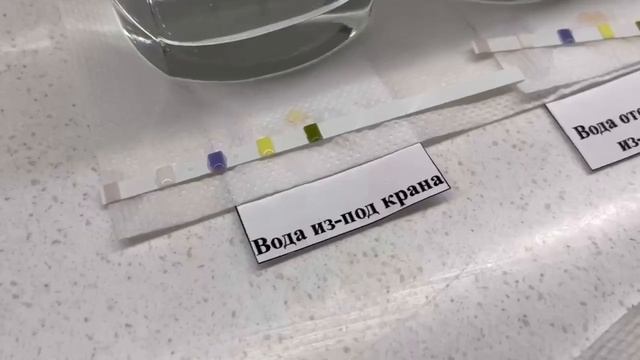 Эксперимент! Какой водой поливать комнатные цветы? Нужно ли отстаивать воду для полива растений?