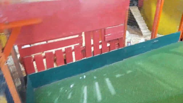 Сибирский зоопарк часть 4 смотреть онлайн