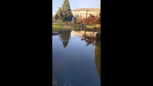 Грязь, Бомжи и Бордюры на улицах США (Ванкувер, штат Вашингтон)