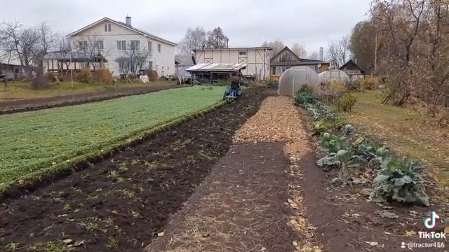 самодельный плуг и минитрактор, запахиваем горчицу в зиму. смотреть онлайн