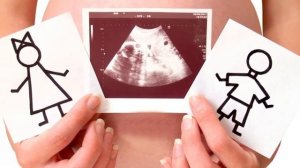 ФОРМИРОВАНИЕ ПОЛА РЕБЕНКА ВО ВРЕМЯ БЕРЕМЕННОСТИ | Как повлиять на формирование пола плода