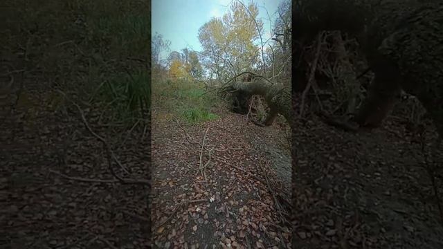 Рыбалка и отдых в выходной день. Рыбалка на щуку, стейки и просто отдых. смотреть онлайн