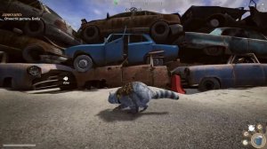 Симулятор Енота #2 Новый друг пират. Баги. Невидимый енотик в Wanted Raccoon на пурумчата