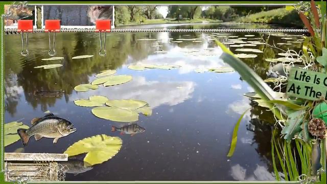 Видео поздравление рыбакам Симферополь смотреть онлайн