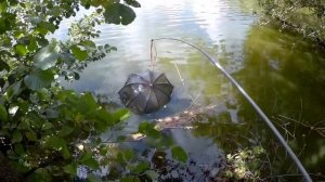 Раков НЕТ! ЛОВИМ РАКОВ! Что будет если поставить раколовки на 7 дней на неизвестном водоеме. fishin