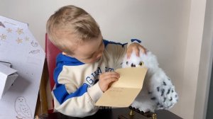 Интерактивная Сова Букля из Гарри Поттера / Обзор