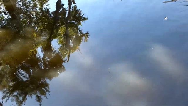 По улицам ходила большая крокодила...зоопарк часть 3 смотреть онлайн