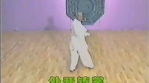 Chenshi baguazhang. Sun Zhijun