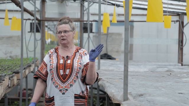 Феромонные ловушки для насекомых. Урожайные грядки. смотреть онлайн