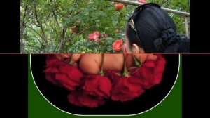 смешные моменты из роз