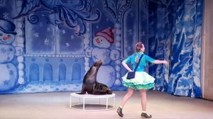 Цирковое представление.  Цирк Дурова.