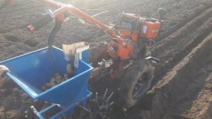 Картофелесажалка к мотоблоку Хопер.