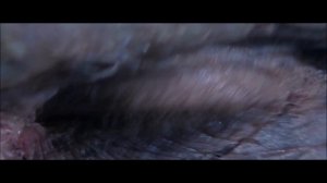 - Когда дар - это проклятие