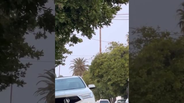 41823 Gangstalker in white Infiniti SUV on north side of Fernwood in Los Angeles gangstalking