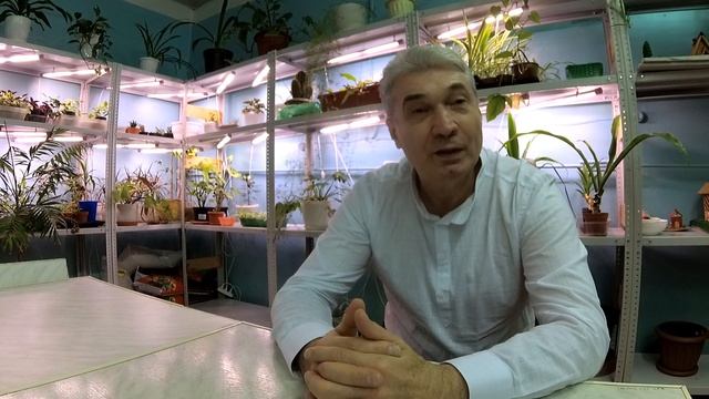 Органические удобрения. Навоз КРС. Как вносить, хранить, заделывать! смотреть онлайн