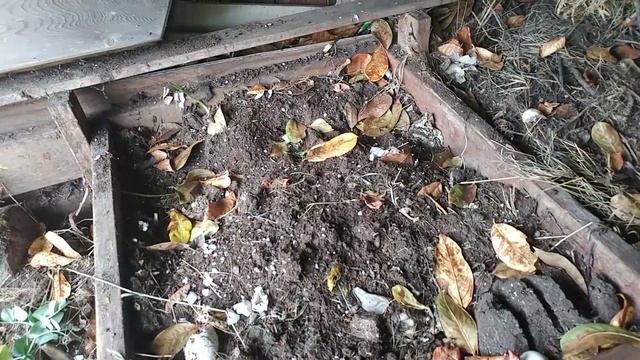 Composting....the right way. смотреть онлайн