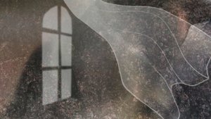 Откуда мы можем узнать о Боге.