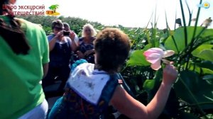 Долина Лотосов на Таманском полуострове (экскурсия)