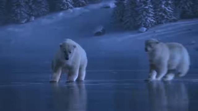 Танец Медведь красивое видео смотреть онлайн