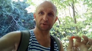 Физалис в горном Крыму