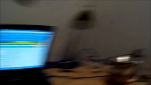 Чипирование собаки -  как, где, чем и зачем нужен чип собаке