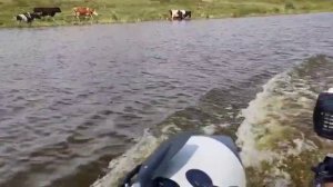 Надувная лодка с мотором