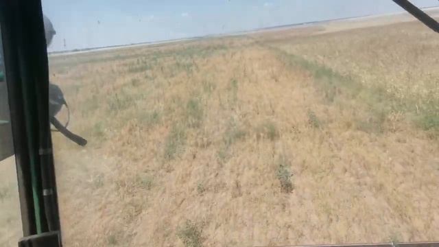 31,07,2022, уборка льна ура,,, смотреть онлайн