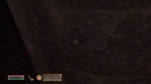 TES 4 Oblivion - Гайд на Скрытность