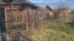 Купили заброшенную дачу за 30 тысяч рублей