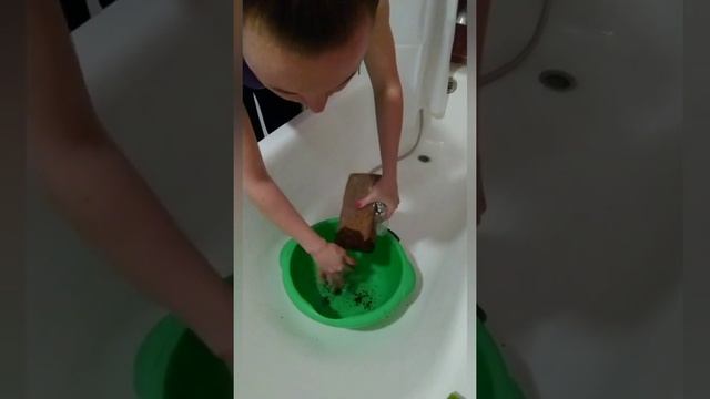 Приготовление кокосового субстрата. смотреть онлайн