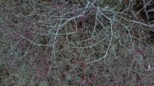 Акша лов. Белый снег. Караоке. Мордовская песня. #mordovia #songs #karaoke