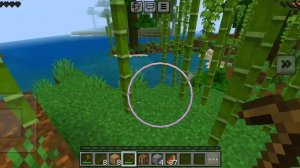 Спидран по Майнкрафту.