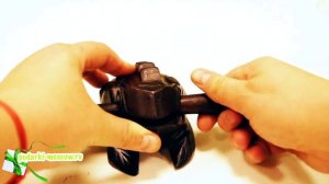 Денежная  лягушка трещотка (Фрог раттл)