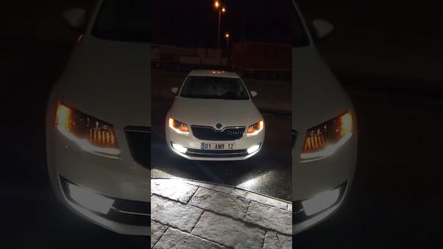 Skoda Octavia Coming Home-Leaving Home with Fog Light ( selamlama)