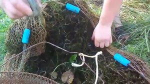 20.08.2019 . Ловим раков .