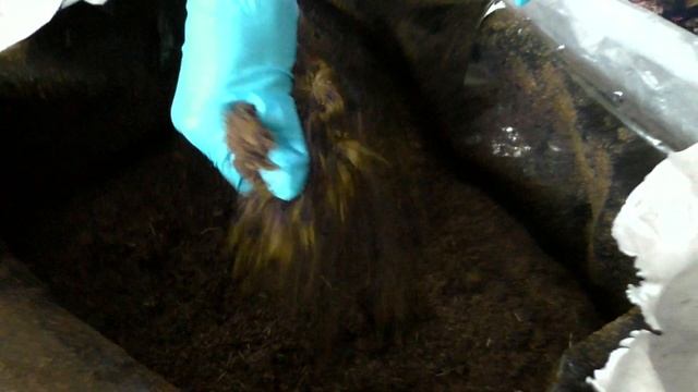 ВЕРХОВОЙ ТОРФ АГРОБАЛТ C WILDBERRIES | Торф Агробалт С для фиалок смотреть онлайн