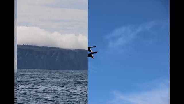 Прогулка по Авачинской бухте (Камчатка 2016). Walk along Avacha Bay. Kamchatka.