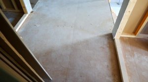 Мыши в Финском доме !