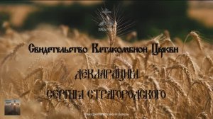 Свидетельство о катакомбной Церкви, Декларация