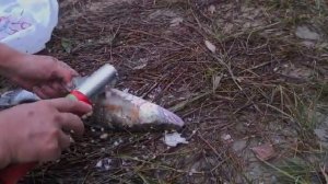 Супер рыбочистилка беспроводная!!!!