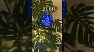 Цветы по знаку задиака! (все знаки задиака)