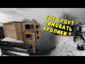ГДЕ БУДУТ ЗИМОВАТЬ КРОЛИКИ/ХОЛОДА НАСТУПАЮТ/КРОЛИКОВОДСТВО ДЛЯ НАЧИНАЮЩИХ