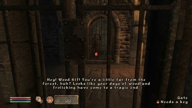 Starting Insults of Valen Dreth for all races. Male characters. Oblivion смотреть онлайн