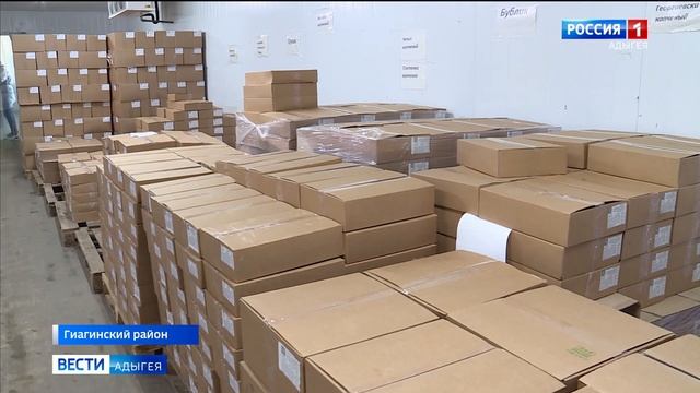 ООО «Каскад» в Гиагинском районе изготавливает около 40 видов сыра смотреть онлайн