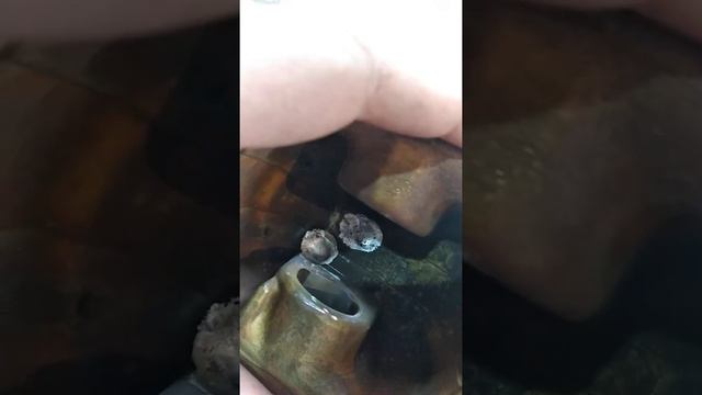 Ремонт поршня пмр Михаил 77862402 смотреть онлайн